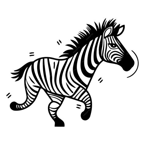 Premium Vector Zebra Vector Illustration Hand Drawn Zebra Isolated On