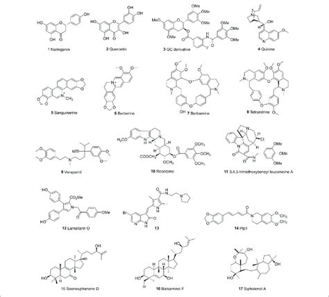 | The chemical structures of representative P-gp inhibitors. | Download ...