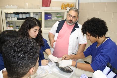 Aula Prática Dissecação de Peixes Colégio Franciscano Santa Isabel