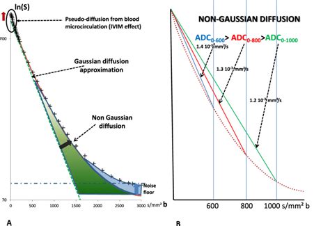 Diffusion Mri Signal Decay Versus B Value A The Diffusion Signal