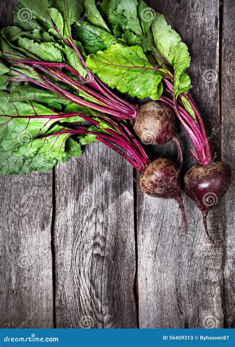 Raw Beetroot Stock Image Image Of Agriculture Cook 56409313