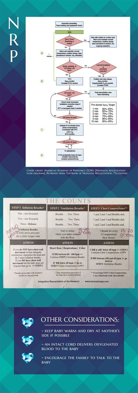 Nrp Algorithm Printable - Printable Templates