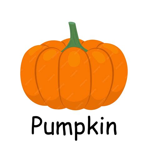 Premium Vector Pumpkin Illustration Flat Vector Vegetables Flashcard