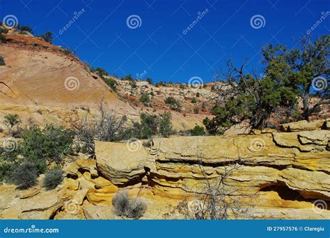 Colours Of Rocks Utah Stock Photo Image Of Loneliness 27957576