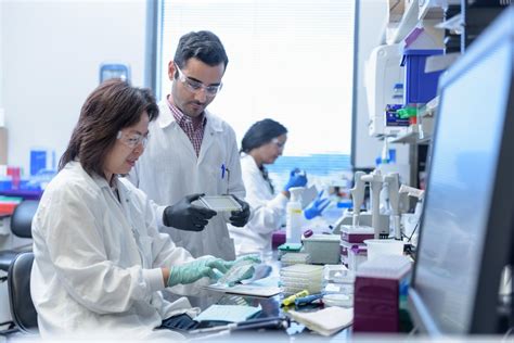 Collaboration in Cancer: Pushing the Boundaries of Science Together