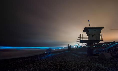 Incredible” Bioluminescence Gives California Surf An Eerie Blue Glow