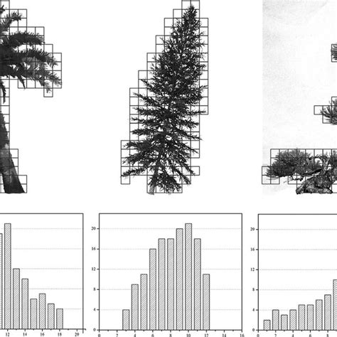 Workflow Of Individual Tree Points Segmentation From Point Set A