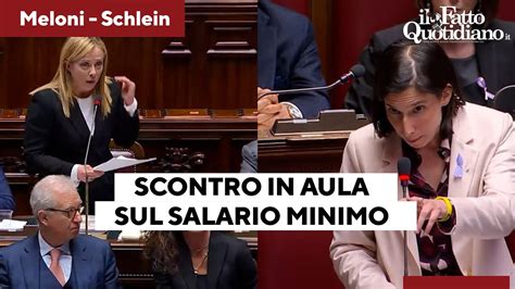 Salario Minimo Scontro Tra Schlein E Meloni Irritazione Pd Contro La