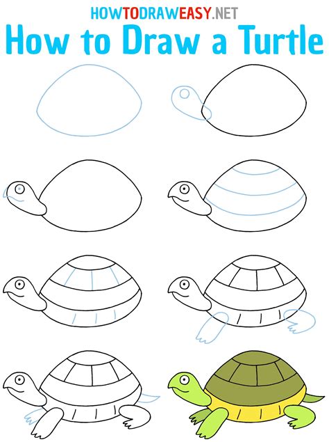 How To Draw A Turtle How To Draw Easy