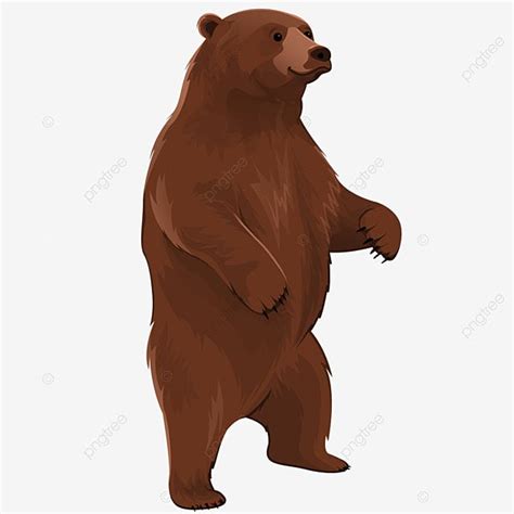 Grande Urso Pardo Em Pé PNG Desenho Animado Castanho Selvagem