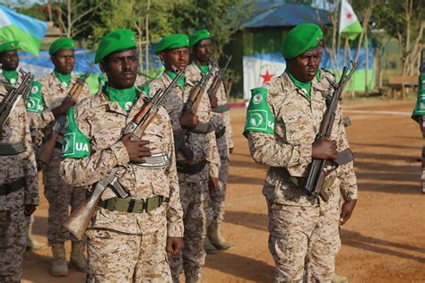 Atmis Djibouti Troops Mark 47th Anniversary Of Armed Forces Day