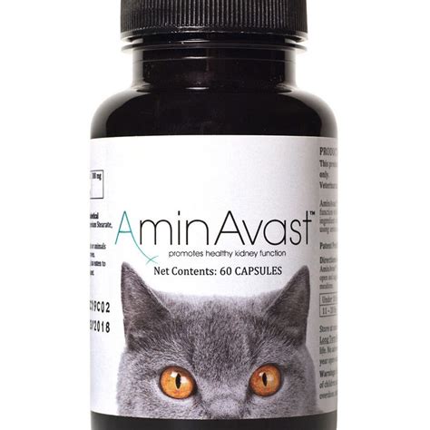 Discover The Benefits Of Aminavast For Cats A Revolutionary Solution