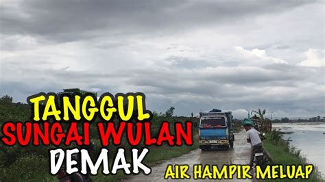 Ke Lokasi Tanggul Bekas Jebol Air Sungai Wulan Meluap Warga Panik