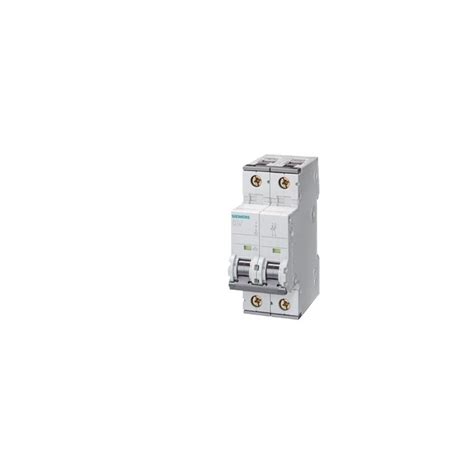 5SY6206 7 SIEMENS Miniature Circuit Breaker 400 V 6kA 2 P