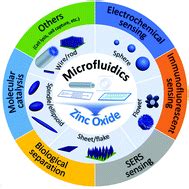 Microfluidics For Zno Micro Nanomaterials Development Rational Design