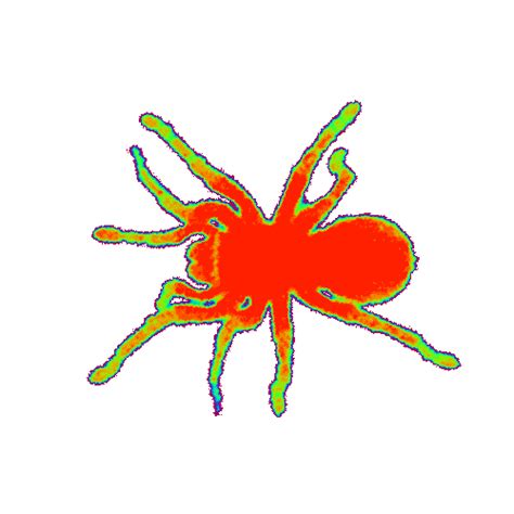 Awesome Animated Spider S At Best Animations