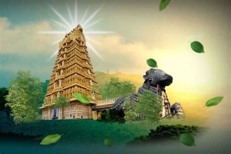 Mysore Coorg Packages From Bangalore Mysore Tours Indus Traveller