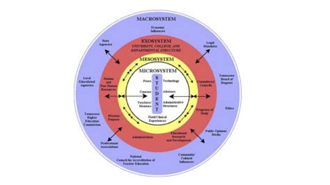 La Teor A Ecol Gica De Urie Bronfenbrenner