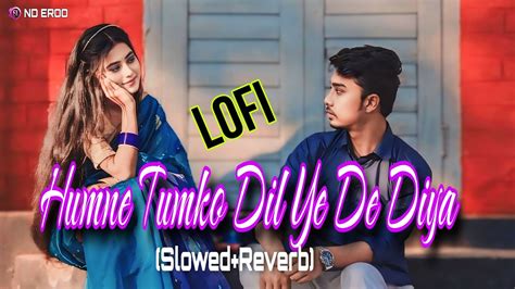 Humne Tumko Dil Ye De Diya Nderoo Slowed Reverb Old Hindi Song New