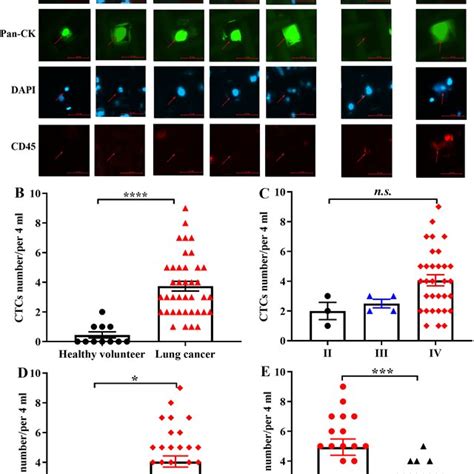 Performance Of Circulating Tumor Cell Ctc Detection By Cytobot