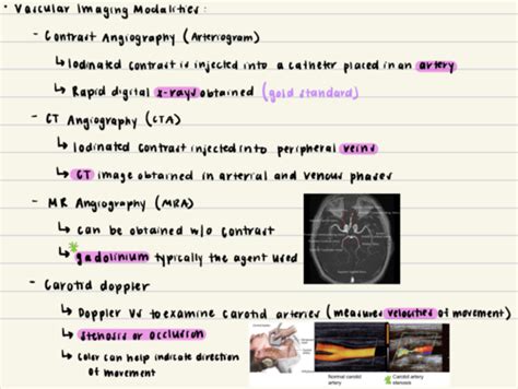 Diagnostic Imaging Of The Cns Vasculature Flashcards Quizlet