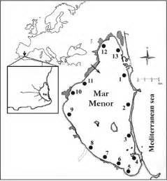 Map of the Mar Menor coastal lagoon and location of sampling sites....