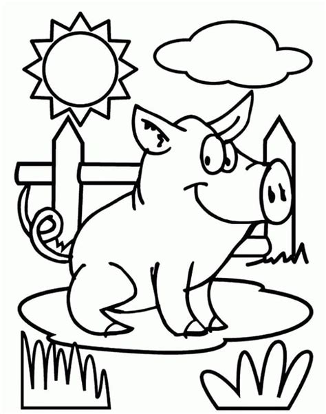 Coloriage Cochon Imprimer Sur Coloriageenfant