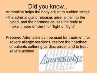 Adrenaline | PPT