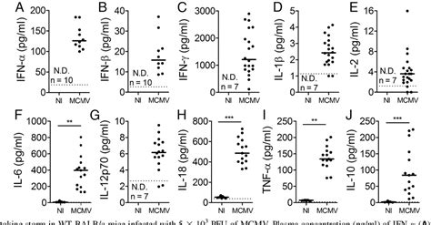 Figure 4 From Mouse Cytomegalovirus Infection In BALB C Mice Resembles