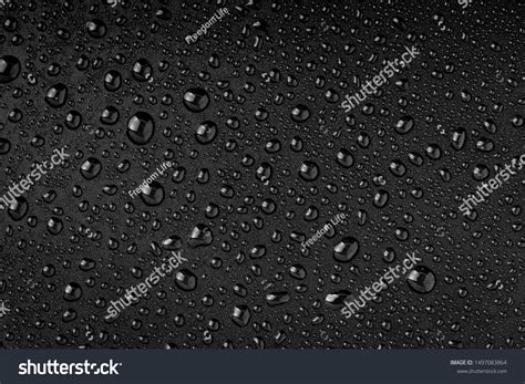 Water Droplets On Black Background Stock Photo 1497083864 | Shutterstock