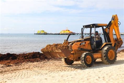 Ejemplar labor de Playa del Carmen Restauración de playas mediante