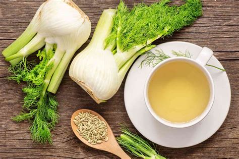 Fennel Tea Health Benefits And Recipe