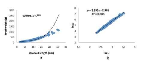 Length Weight Relationship Analysis Through A Least Square