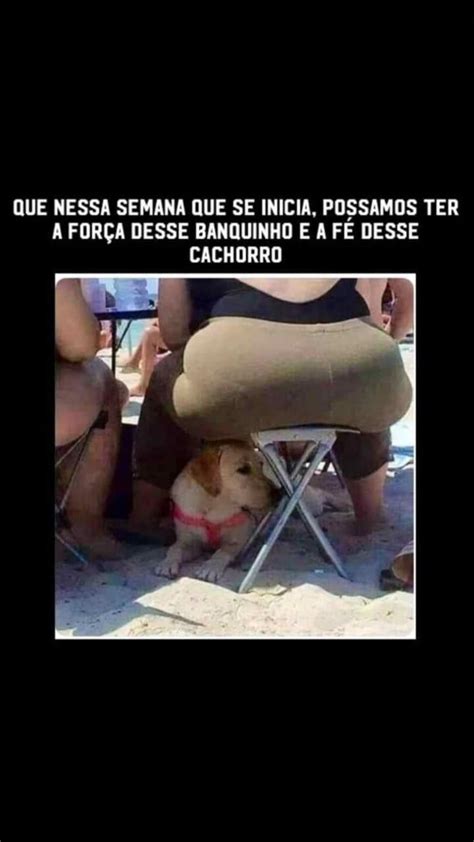 Pin De Vilma Em Piadas Piadas Cachorro For A