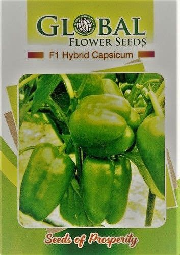 F Hybrid Capsicum At Best Price In Sangrur Punjab Global Flower Seeds