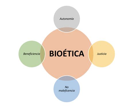 Quatro Princípios Da Bioética Retoedu