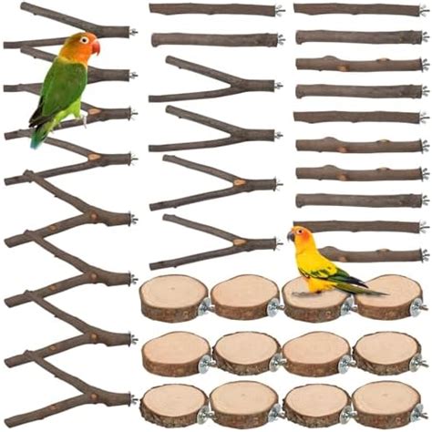 Amazon Limio Bird Perch Pcs Natural Wood Stand Parakeet Toys