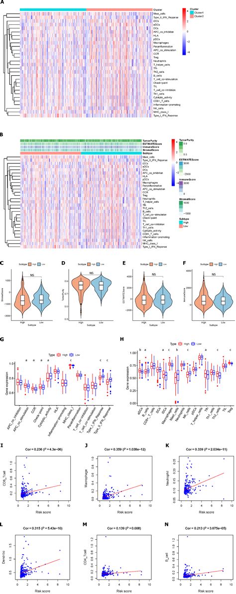 Lipid Metabolism Related Long Noncoding RNA RP11 817I4 1 Promotes Fatty