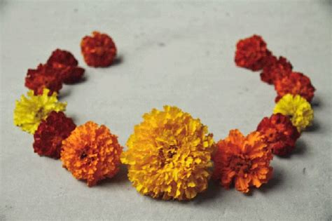 Marigolds Chain In 2020 Crafts For Kids Marigold Crafts