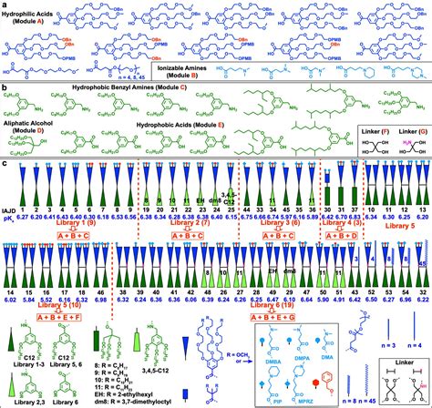 纳米人 Jacs 单组分多功能可电离两亲性janus树状大分子mrna递送系统