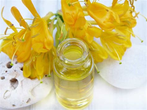 Huile Essentielle Dylang Ylang Bienfaits Et Utilisations Phyto