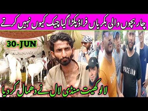 Lalukhet Bakra Mandi Latest Update Jun Bakra Mandi Goat Farm