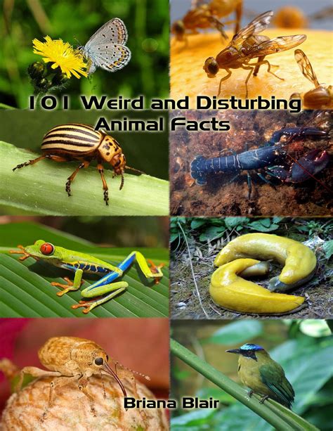 101 Weird and Disturbing Animal Facts eBook by Briana Blair - EPUB | Rakuten Kobo United States