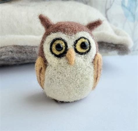 Owl Needle Felting Kit For Beginners Diy Craft Kits Etsy