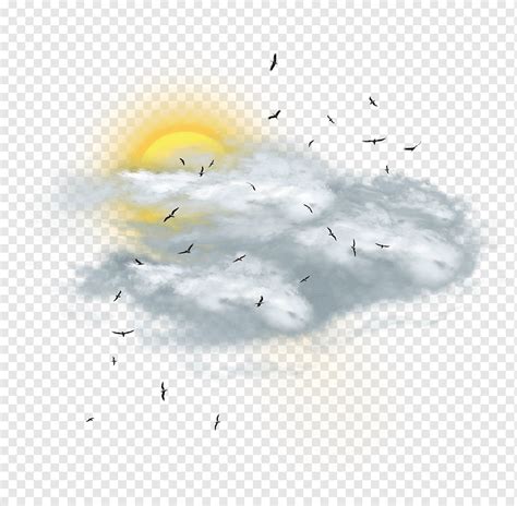 Clouds Sky Birds Sun Png PNGWing