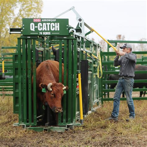 Portable Cattle Squeeze Chute Alley And Tub Arrowquip