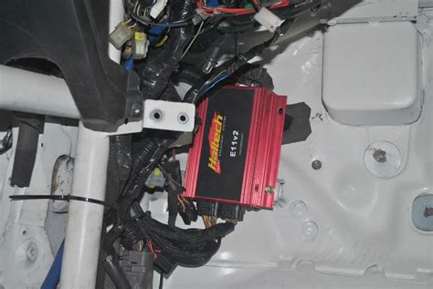 Dara Install Maping Ecu Programable Haltec