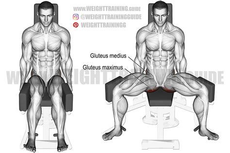 Standing Hip Abduction Machine