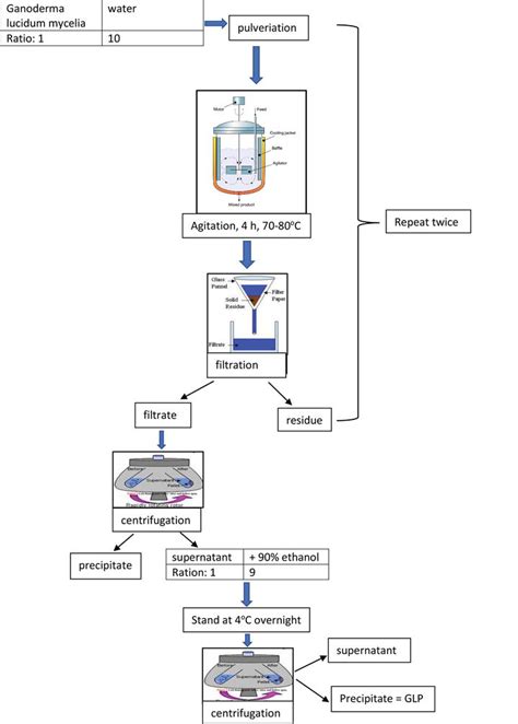 Extraction And Fractionation Of Polysaccharides From A Selected Mushroom Species Ganoderma