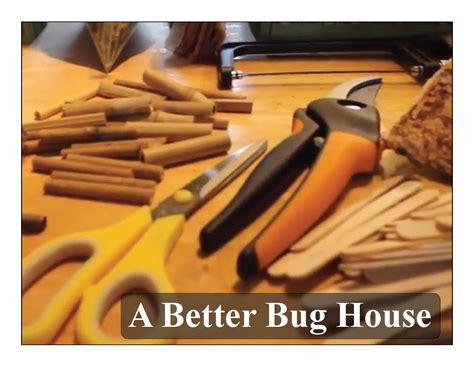 bug house | Green Teacher